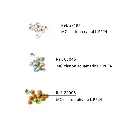 00213-Kit-crystal-clay-6.webp