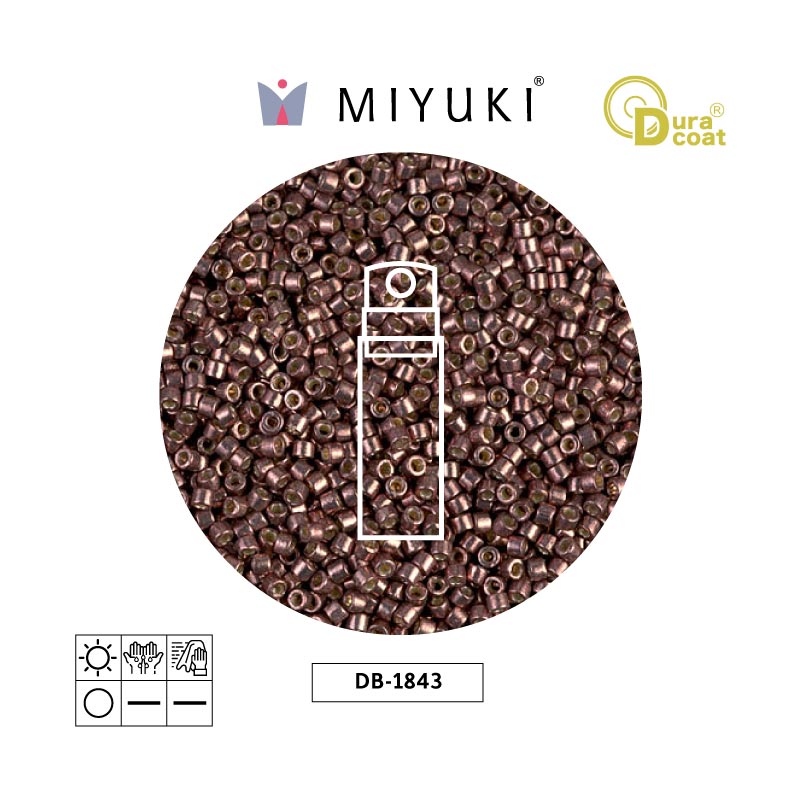 Miyuki delica 11/0 DB1843 galvanizado claro copper x 10g