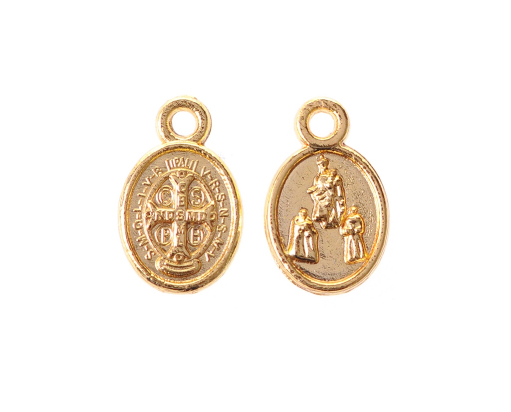 Medalla virgen 883-6 13x8mm/golfi x und