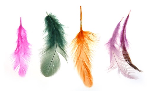 [19227] plunas de colores pequena x und
