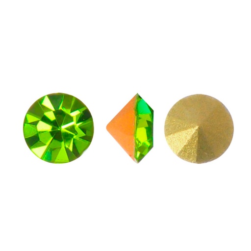 [24460] MC chaton Lian olivine AB PP4 x gruesa
