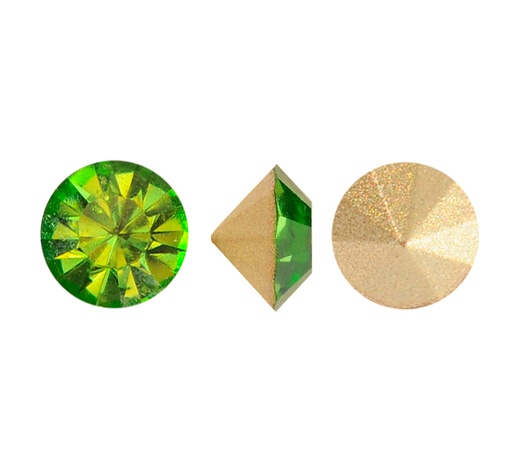 [10450] MC chaton Lian olivine PP6 x gruesa