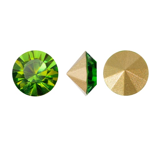 [20583] MC chaton Lian olivine SS20 x gruesa