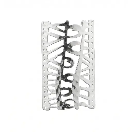 [22114] Placa Mishky safari 3x6cm plateada