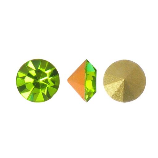 [20616] MC chaton Lian olivine PP22 x gruesa