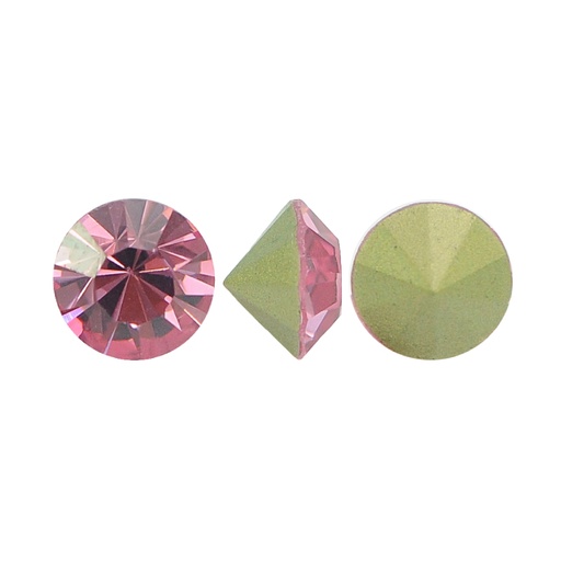 [24869] MC chaton Lian rose PP5 x gruesa