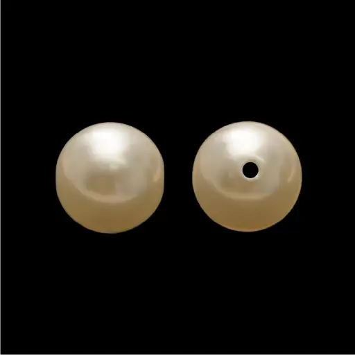 [07469] Pollo siam 13mm x und