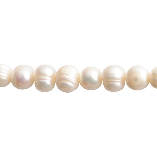 [22230] Perla biwa QA 10-11mm x 40cm